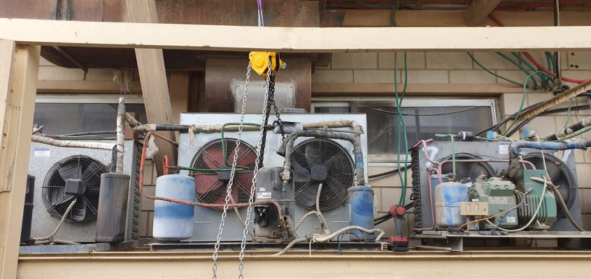 WhatsApp Image 2020-06-07 at 13.41.04